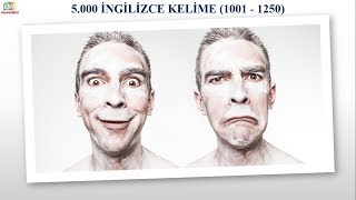 5000 İNGİLİZCE KELİME  RESİMLİ VE SESLİ  1001  1250 [upl. by Luemas]