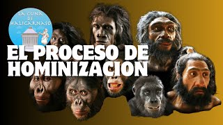 EL PROCESO DE HOMINIZACIÓN 🐒🦍🚶🏻‍♂️ Del Australopithecus al Homo Sapiens [upl. by Tomchay]