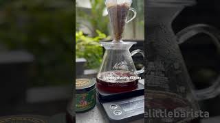 REVIEW KOPI Ijen Lestari Carbonic Maceration Lot 38  The Espresso Embassy Jakarta [upl. by Calvin]