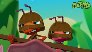 MilitAnt  Antiks 🐜  Funny Cartoons for Kids [upl. by Acirrehs777]