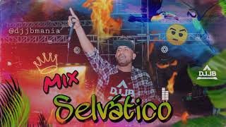 Mix Selvático  DJ JB  Quédate  Pepas  Dj CuePlay  Calamar De La Selva Pura Selva DJ JB ☝️🤨🌴 [upl. by Oliric53]