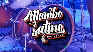 Mambo Latino Orquesta  ALMA ENTRISTECIDA [upl. by Teri601]