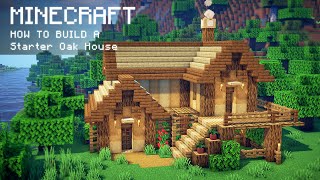 Minecraft How To Build a Starter Oak House [upl. by Murat]