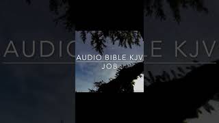 JOB KJV BIBLE shorts bibleverse [upl. by Anirhtak1]