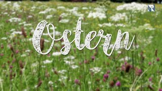 Ostern erklärt in 60 Sekunden [upl. by Nitsugua]