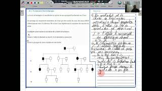svtlheredité humainele pedigrée dune maladie autosomale dominantela chorée de huntington [upl. by Oer]