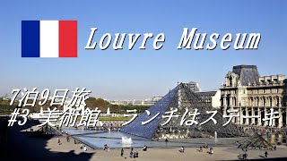 【フランス旅行】観たかった絵を見つけられなかったルーヴル美術館7泊9日旅3 [upl. by Carlen344]