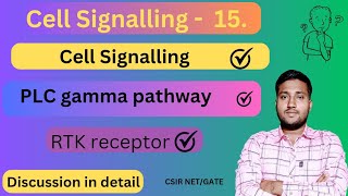 Phospholipase C Gamma Pathway  PLC gamma pathway  RTK signalling pathway  Cell signalling [upl. by Nylrem297]