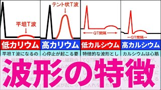 【8分で解説、10分で国試問題】電解質の異常と心電図波形の特徴 [upl. by Bowne376]