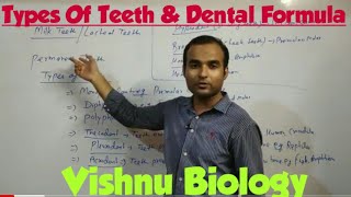 Types Of Teeth  Dental Formula  NEET Biology [upl. by Iaht]