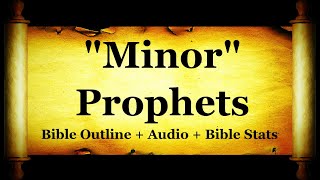 The Holy Bible  Minor Prophets  Hosea Joel Amos Jonah Micah Zechariah Malachi [upl. by Asilegna]