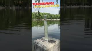 All kinds of sewage treatment agents are sold to make sewage treatment easiersewagetreatment [upl. by Maretz451]