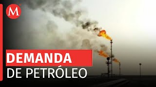 OPEP sube perspectivas económicas y mantiene previsión sobre demanda de petróleo [upl. by Ahsets869]