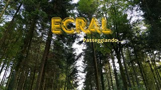 Esseri Elementali gnomi fate travel  Passeggiando nel Bosco di Ecral [upl. by Assiar]