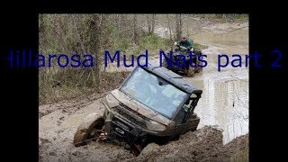 Ranger 1000 mudding at Hillarosa mud nationals [upl. by Airom]