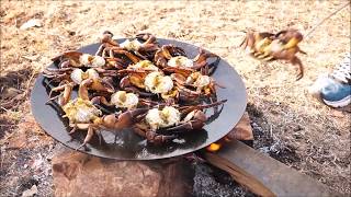 CRAB RECIPE INDIAN COOKING  CRAB FRY  COOKING 10 CRABS ON BIG BLACK PAN  FOREST COOKING [upl. by Neelahs]