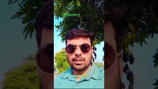 Greenery world vlog 1nature ytshorts panchi sur me gaate hai song vlogs positivevibes [upl. by Mumford]