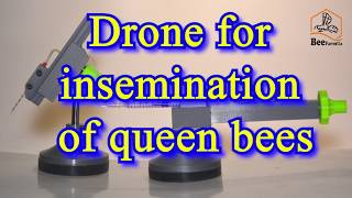 Drone for insemination of queen bees [upl. by Erfert217]