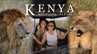 Our LION SAFARI ENCOUNTER The BEST Wildlife Safari in Africa Masai Mara Kenya [upl. by Enihpled]