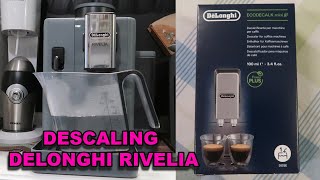 DELONGHI RIVELIA  Descaling your coffee machine  PEBBLE GREY EXAM44055G  INFLUENSTER  VOXBOX [upl. by Gery112]