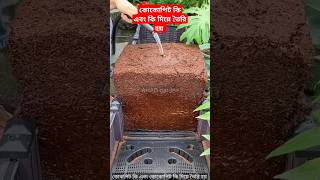 কোকোপিট কি এবং কি দিয়ে তৈরি হয় 🌱gardeningtips [upl. by Angeline]