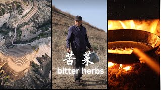 中国陕北黄土高坡农村生活  春雨过后吃苦菜的时节 Bitter Herbs Rural Life in Northern Shaanxi China [upl. by Edlin]