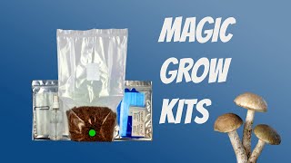 How to Grow Mushrooms from Start to Finish with a Magic Grow Kit  The Easiest Way to Grow Shrooms [upl. by Ehpotsirhc]