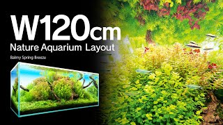 ADAview Balmy Spring Breeze 春彩薫風 W120cm NatureAquarium Layout【ENJP Sub】 [upl. by Julianne]