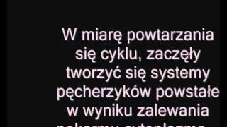 Eukarioty  powstanie teoria endosymbiozy [upl. by Viola]