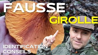 masterclass champignons inconnus  ➡️ Identifier la fausse girolle [upl. by Nohsar661]