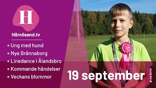 Härnösandtv  19 september 2024 [upl. by Lalitta]