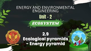 29 Ecological pyramidsEnergy pyramid  ES301 [upl. by Lavotsirc852]