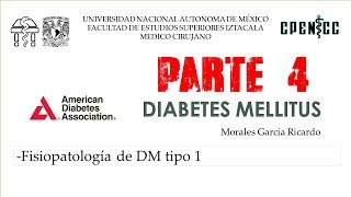 DIABETES MELLITUS Pte 4 Fisiopatologia DM tipo 1  Clase virtual  Dr Garcia [upl. by Gualtiero]