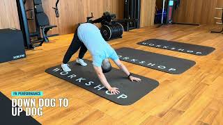 UPWARD DOG TO DOWN DOG  Exercise Library [upl. by Eaneg]