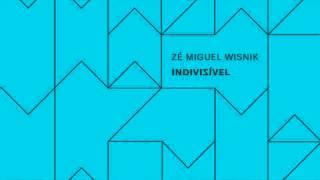 Zé Miguel Wisnik  Track 10  Acalanto CD INDIVISÍVEL  CD2 [upl. by Jahdiel]