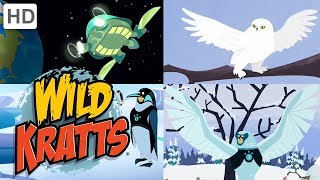 Wild Kratts 🐦🌨️🦉 Winter Flight ❄ Happy Holidays ❄ Kids Videos [upl. by Noble]