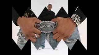 Canibus  Freestyle Over Beanie Sigel Beat [upl. by Haraz]