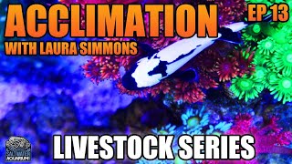 THE BEST Way to Acclimate Your Fish amp Corals with Laura Simmons  Livestock Series [upl. by Francisco]