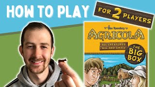 How To Play Agricola All Creatures Big amp Small 2 player game [upl. by Hudgens]