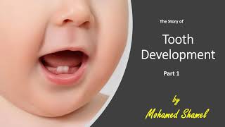 1 Oral BiologyTooth development PART 1 quick review [upl. by Sigvard]