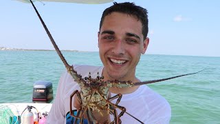 Spiny LOBSTER FIGHTS Back [upl. by Grishilda]