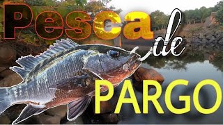 Pesca de pargo con camarón Petacalco Lázaro Cárdenas [upl. by Atineg174]