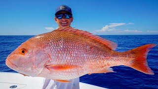 GIANT Red Snapper Grouper Tuna Catch Clean Cook Gulf of Mexico Fishing [upl. by Millford]