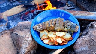 Catching amp Cooking Wild Trout Fish n’ Chips Over a Fire [upl. by Alli]