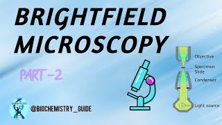 BRIGHTFIELD MICROSCOPY [upl. by Olvan397]