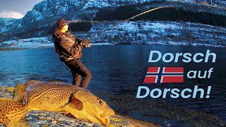 DORSCHE im Frühling 23 vom UFER in NORWEGEN  Tipps amp Tricks [upl. by Inaboy]