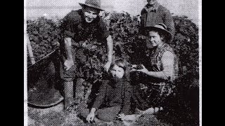 A French Winery during World War II Domaine Guiberteau during the occupation [upl. by Buroker]