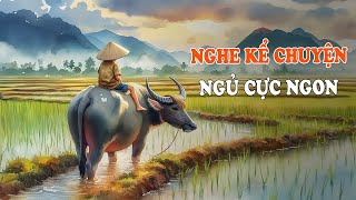 Nghe Kể Chuyện Ngủ Cực Ngon  Đọc Truyện Đêm Khuya Đài Tiếng Nói Việt Nam  VOV Live Kể Chuyện [upl. by Denby]