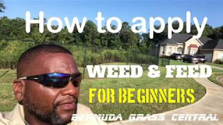 How to apply Weed and Feed for beginners plus Scotts Weed and Feed [upl. by Sonni]