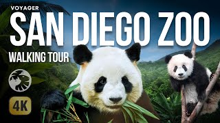 San Diego Zoo  A Magical Relaxing Scenic Walkthrough [upl. by Atiz]